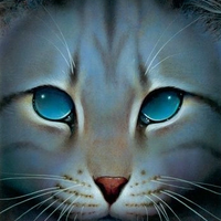 Jayfeather from Warriors